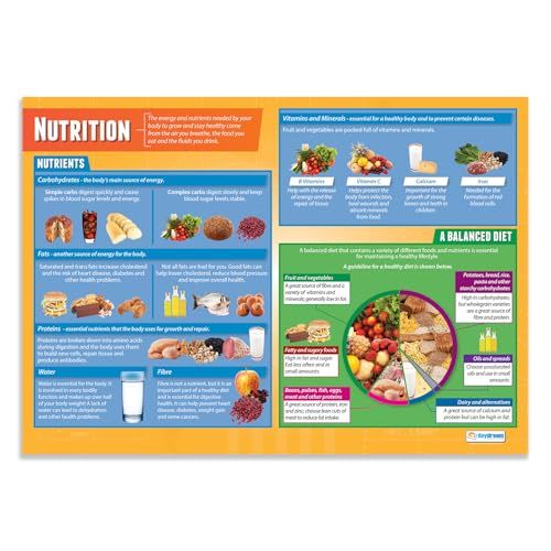 PE Posters - A1 (850x594mm) Gloss Paper - Physical Education Charts - Daydream Education