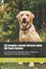 The Independently Published The Complete Dog Guide-The Complete Labrador Retriever Guide