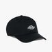 Dickies Essential Dad Casquette Noir Homme