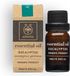 Apivita Huile Essentielle Bio Eucalyptus 50 ml