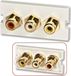 Lindy Audio-Video 3xRCA F/F Snap-In-Modul Premium voor Wanddo Wit