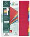 Exacompta - ref. 2410E - Soepele glanskartonnen tabbladen 225g/m2 FSC® met 10 neutrale tabs - Formaat A4 Maxi - Afmetingen: 24,5 x 29,7 cm - geassorteerde kleuren