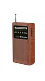 Roadstar TRA-1230/WD radio Draagbaar Analoog Bruin