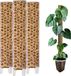 Bâton de mousse Support de plante - Bâton grimpant Aide à l'escalade - Support de plante d'intérieur - Mousse de mousse Rétention d'humidité - 40 cm de longueur - Mat