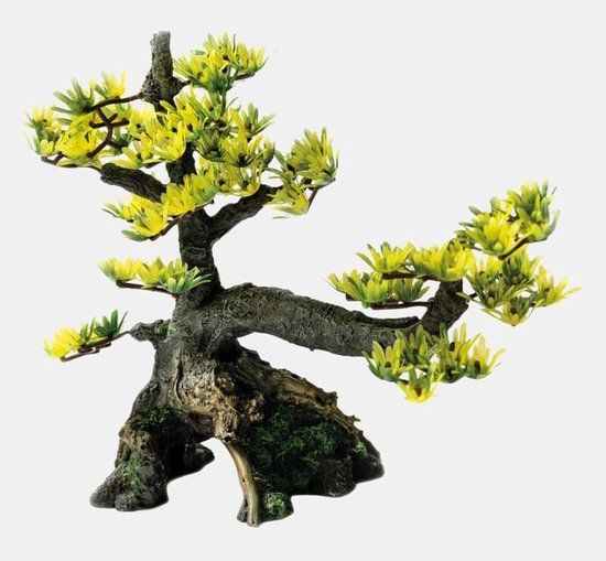 Superfish Deco bonsai M - OPRUIMING