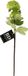 Bellatio Design Kunstbloem Viburnum / sneeuwbal Roseum - 50 cm - groen - losse steel - kunst zijdebloemen