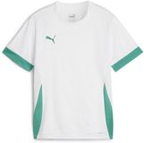 Puma TeamGoal wedstrijdshirt voor kinderen jr 705748