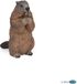 Papo Wild Life Marmot 50128