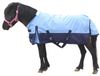 1200D Poney/Shetty couverture de cheval sans rembourrage (0 g)
