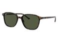 Ray-Ban LEONARD zonnebril Vierkant Écaille Vert Unisexe