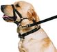 Ancol Weerbestendige Nylon Zwarte Training Halter Hoofdkraag Dierlijke Huisdier Training Accessoire, Medium