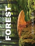 The Baldega Books The Calm of the Forest 2027 Calendar