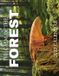 The Baldega Books The Calm of the Forest 2027 Calendar