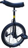 Funsport-unlimited Funsport Eenwieler 16 inch Zwart