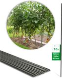 Novatool 10 stuks plantenstelen, 120 cm, groen, diameter 11 mm