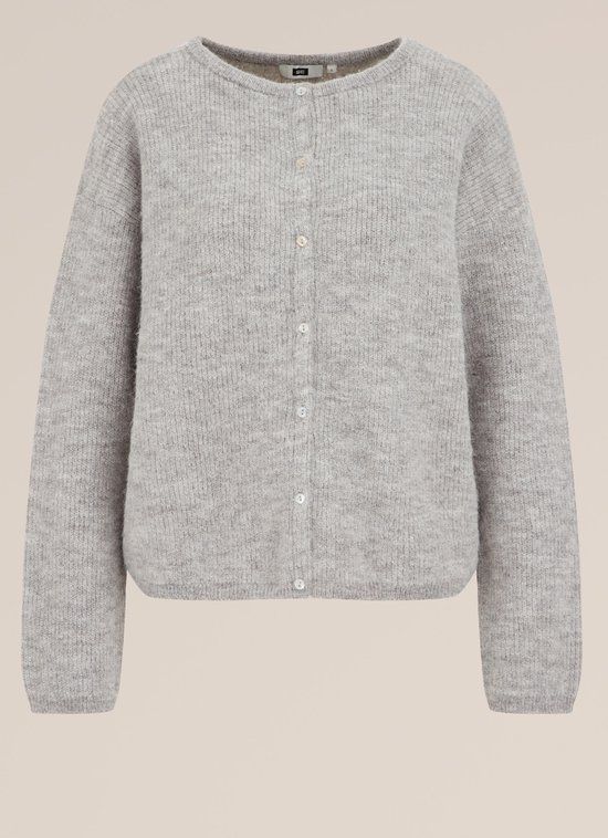 WE Fashion Dames gebreid vest van wolmix - XXL - Light grey