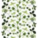 Arvidssons Textil Tissu Liv vert