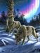 SunsOut Puzzle Wolves and Lights - 1000 pièces puzzle