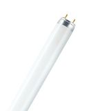 WatioWave fluorescerend natuur, 36 W/76
