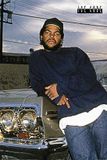 ICE CUBE Impala Ice Cube Poster 61x91.5cm