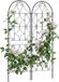 Outsunny Tomatenrek - Metaal - Zwart - 50x150cm