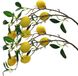Ibenzoa® Arrangement de fleurs artificielles réalistes - Branches d'agrumes, 80 cm de longueur - Vert