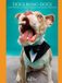 Dogs Being Dogs: Funny Portraits of Goofy, Charming, and Unforgettable Pups