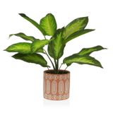 Versa Decoratieve plant
