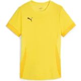 Puma Damestrui TeamGoal