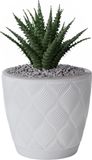 Form Plastic Plantenpot/bloempot New Age - kunststof - ivoor wit - D13 x H12 cm - met opvang schotel - rond