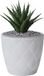 Form Plastic Plantenpot/bloempot New Age - kunststof - ivoor wit - D13 x H12 cm - met opvang schotel - rond