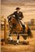 Die Kunst der Working Equitation: Vielseitigkeit, Präzision und Tradition: Der professionelle Leitfaden für die vier Disziplinen