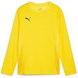 Puma T-Shirt Lange Mouw Teamgoal