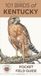 101 Birds of Kentucky: Pocket Field Guide