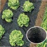 WERKA PRO Moestuin mulchen doorboorde film