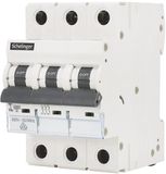 asvendo Schelinger Installatieautomaat 32A C-karakteristiek - 3-polig - 230/400V