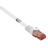 Renkforce RF-5044026 Netwerkkabel Wit 10 m Cat6 U/UTP