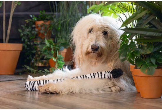 Beeztees Jungle Zebra Staart Hondenspeelgoed, pluche, zwart/wit