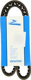 Dayco 13A0950C Aandrijfriem