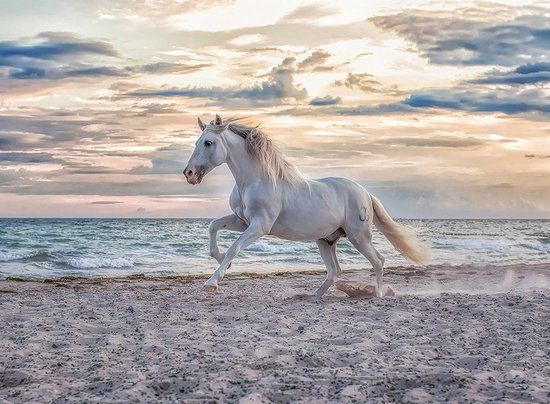 Ravensburger Puzzel Paard Strand - 500 Stukjes Legpuzzel Dieren