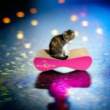 Mruu&Pruu GROTE KARTONNEN KAT SCRATTER Kattenmand Krabplank Krabpaal Karton Krabmand Kattenbed 70x23x24 cm roze