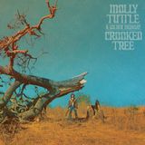 Crooked Nonesuch Crooked Tree