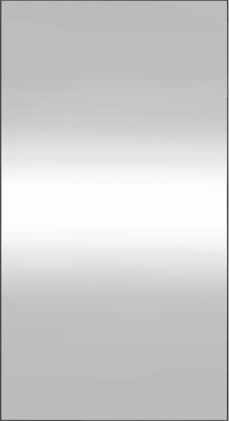 vidaXL Wandspiegel 50x100 cm Rechthoekig Glas