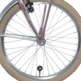 Alpina Voorwiel 20 HLQ-10A-1 Silver Aluminium
