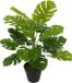 Merkloos Splitphilo Kunstplant - Monstera Zijden Bloemen Decoratieve Plant