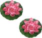 Merkloos 2x Rode Drijvende Kunst Waterlelie Bloemen 26 cm