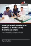 Interpretazione Edizioni Sapienza Interpretazione dei dati sismici a riflessione bidimensionali