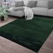TT Home Vloerkleed Woonkamer Kortpolig Effen Modern Design Wasbaar Groen 120x170 cm
