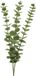 Bellatio Design Kunstplant takken Eucalyptus Cinera - 60 cm - 3 takken - kunst bladgroen - decoratief - zijdebloemen
