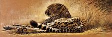Your Decoration B.V. Kunstdruk Renato Casaro - Little rest 99x34cm